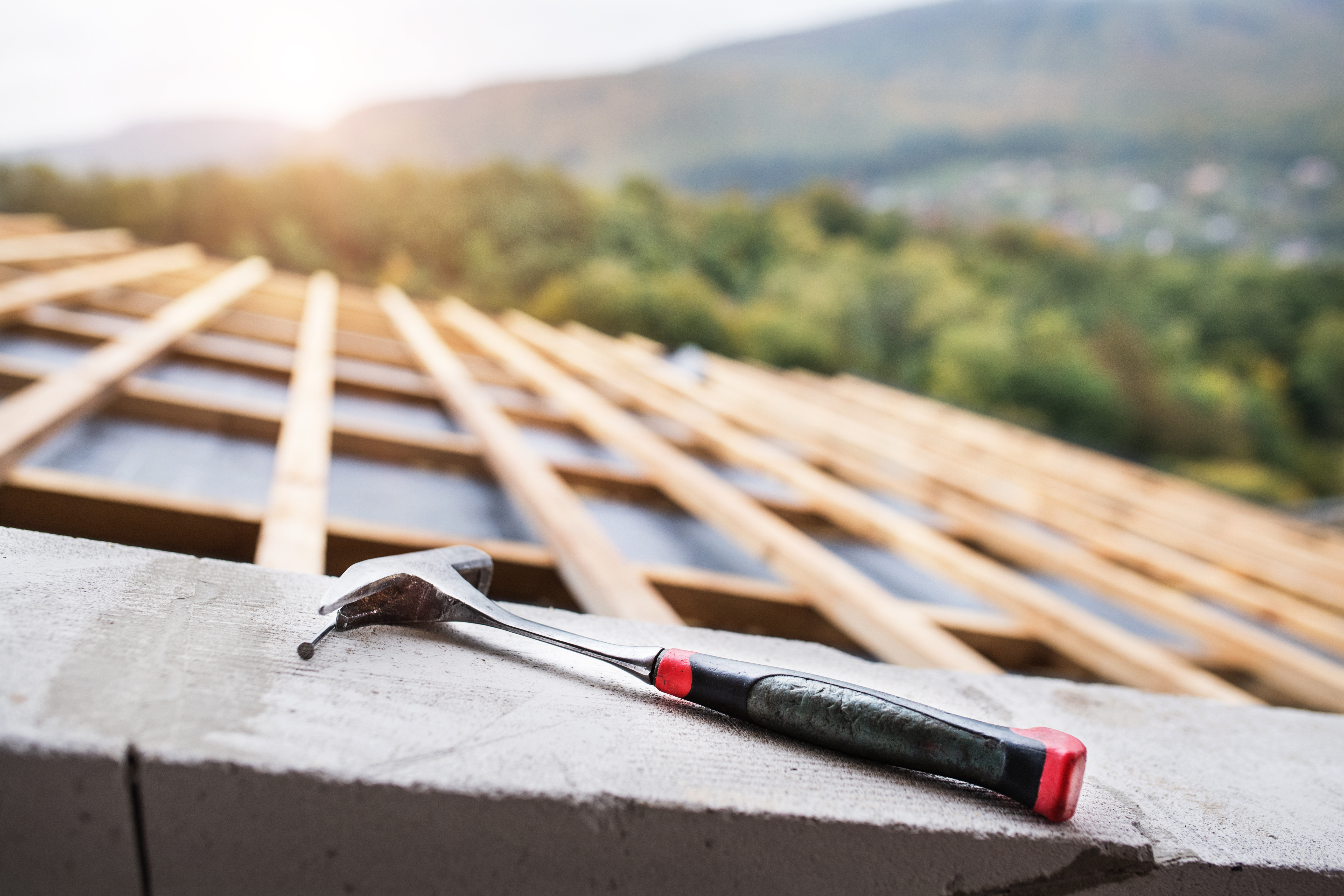 Professional Roofing Services in Florida