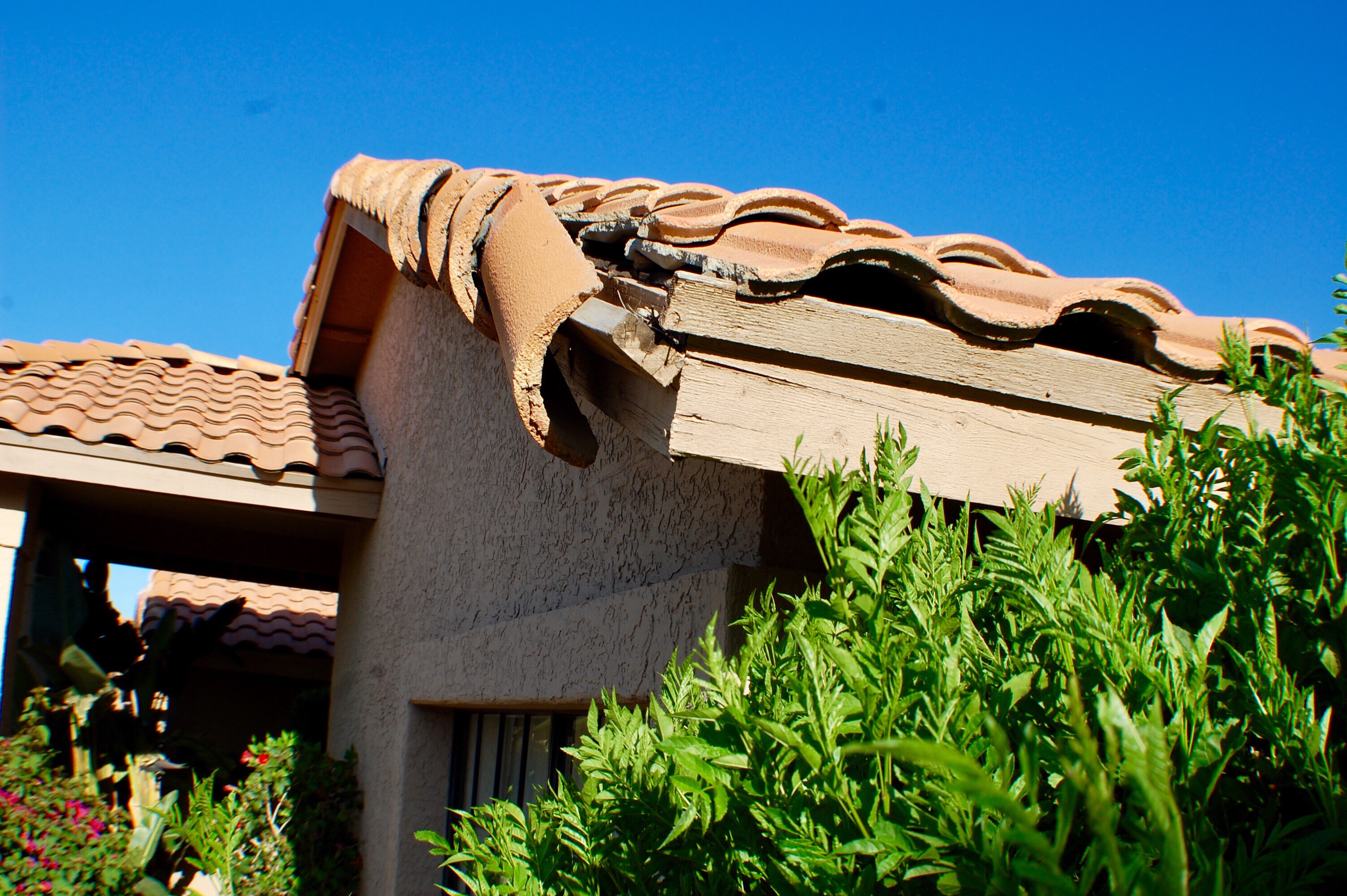 Professional Roofing Services in Florida